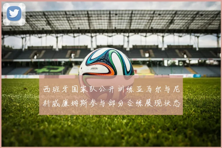 西班牙国家队公开训练亚马尔与尼科威廉姆斯参与部分合练展现状态